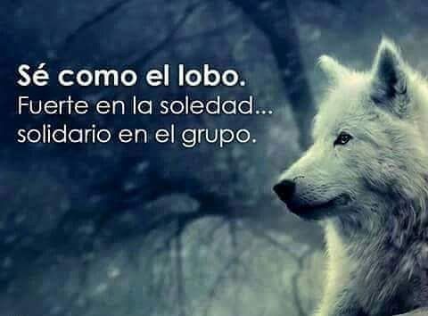 Citas Gente El Lobo Foda Agora Mesmo Ermesinde-56541