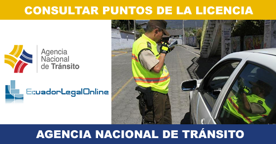 Agencia Nacional De Transito Conocer Licencias Foda No Carro Lisboa-73316